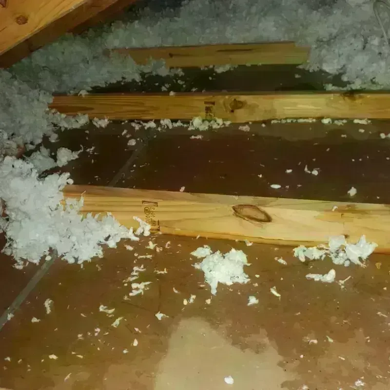 Attic Water Damage in Comer, GA